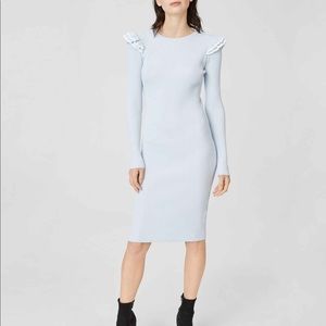 Club Monaco | Bandit Dress